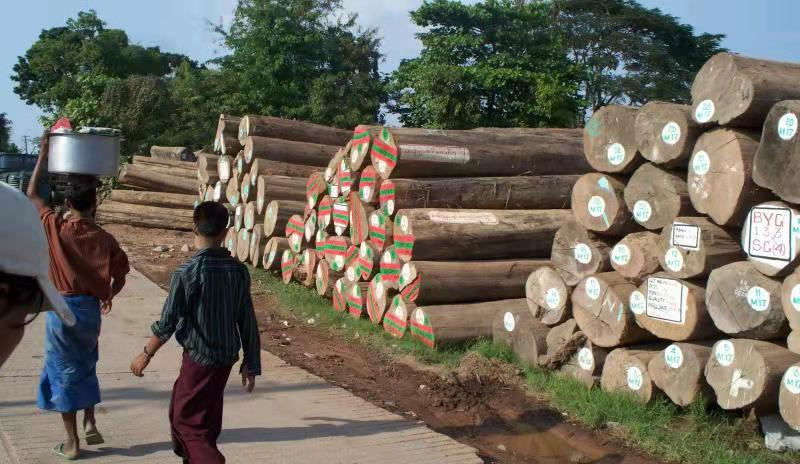 Authentic Burmese Logs Teak Boards Furniture Decks Thai Teak