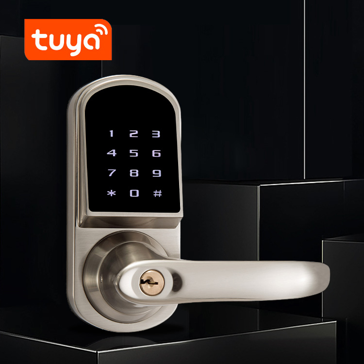 Bluetooth Keyless Go APP Tuya WiFi Access Smart Code Card Door Lock Handle Lock