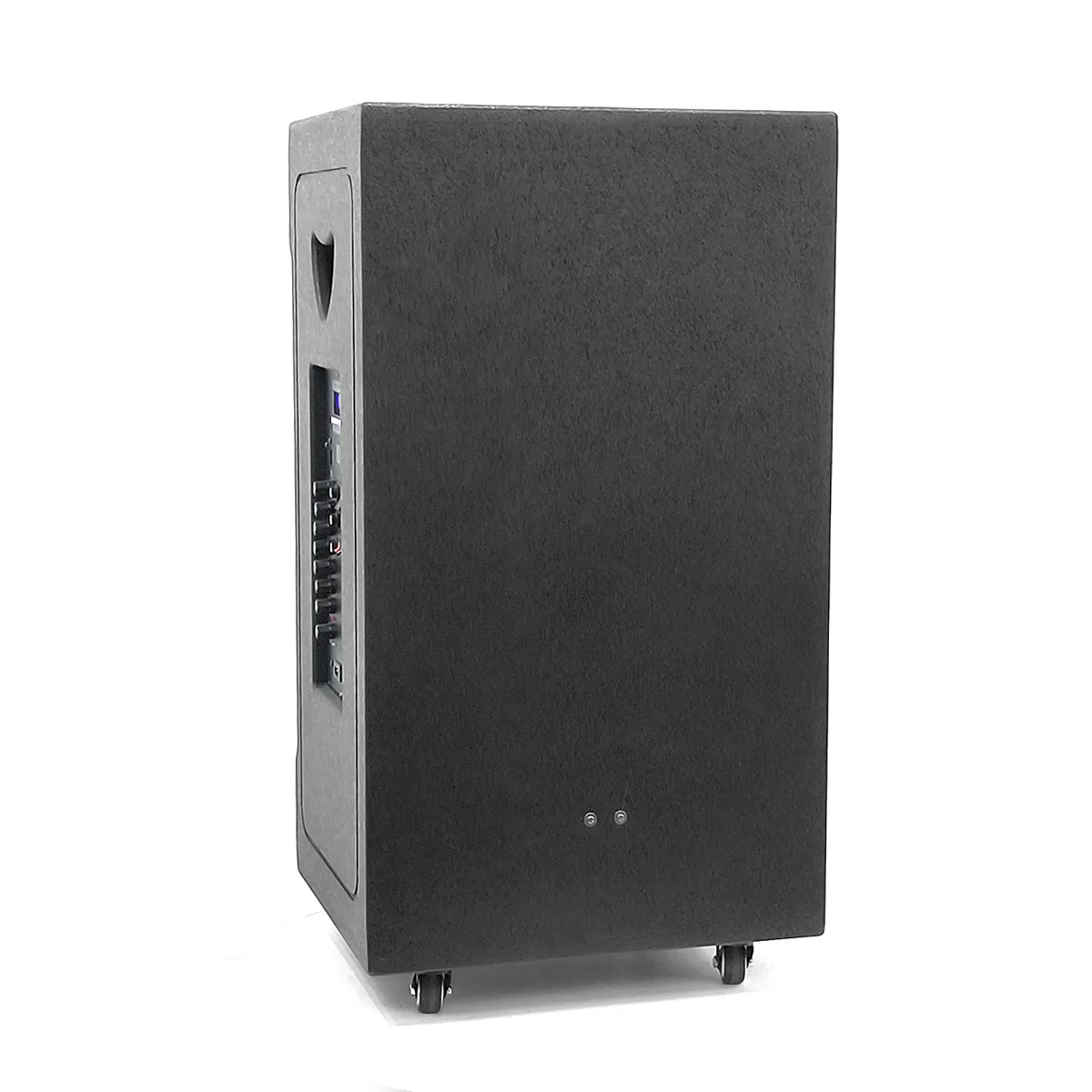 Wireless Portable Trolley Speaker RGB LED Lights Home Theatre