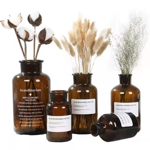 Ins Northern Style Flower Plants Clear Umber Glass Vase for Model Home Decoration