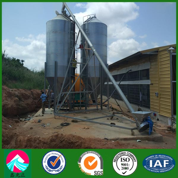 Prefabricated China Steel Structure Poultry Farms with Cage-Rearing Equipment