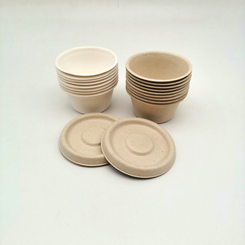 Disposable Compostable Sugarcane Bagasse Soup Bowl