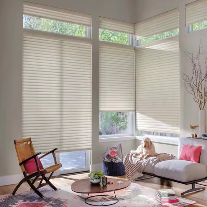 Motorized Honeycomb Blind Day and Night Cordless Top Bottom up Honeycomb Blinds Automatic Cellular