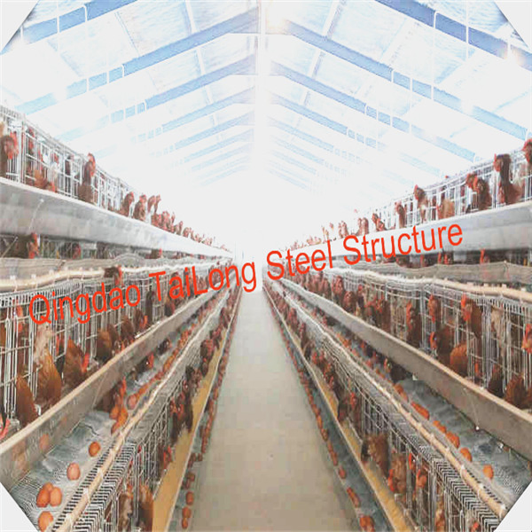 Prefabricated Steel Frame Structure Prefab Chicken House in Poultry Farms