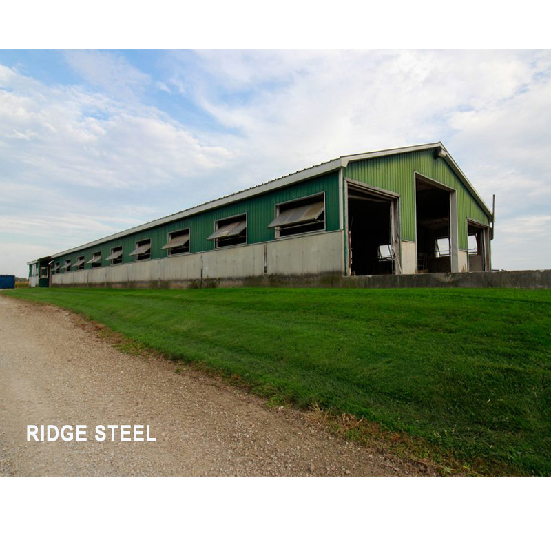 Fast Assemble Steel Structure Workshop Industrial Design Fabricated Building Shed
