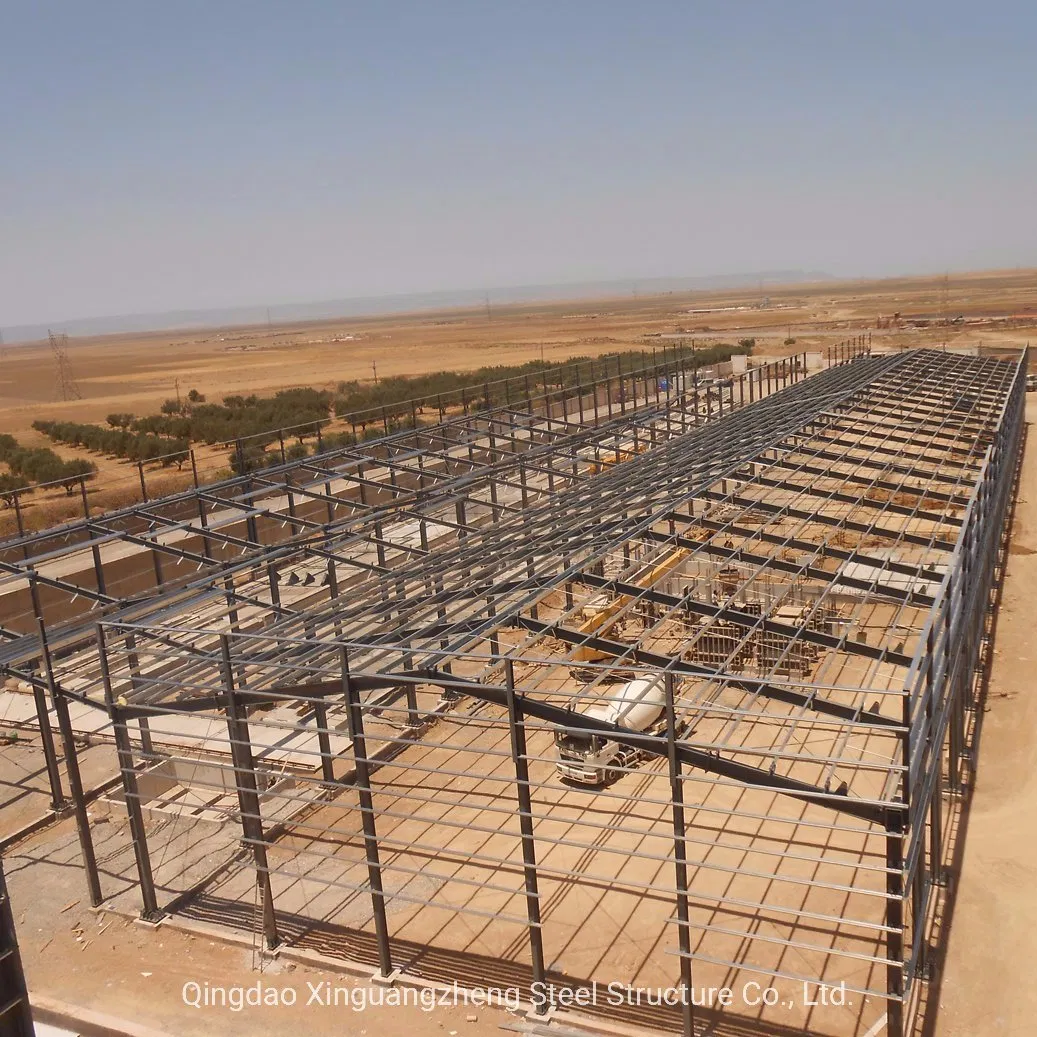 Steel Structure Prefabricated Apartment Building Workshop Warehouse with Steel Frame