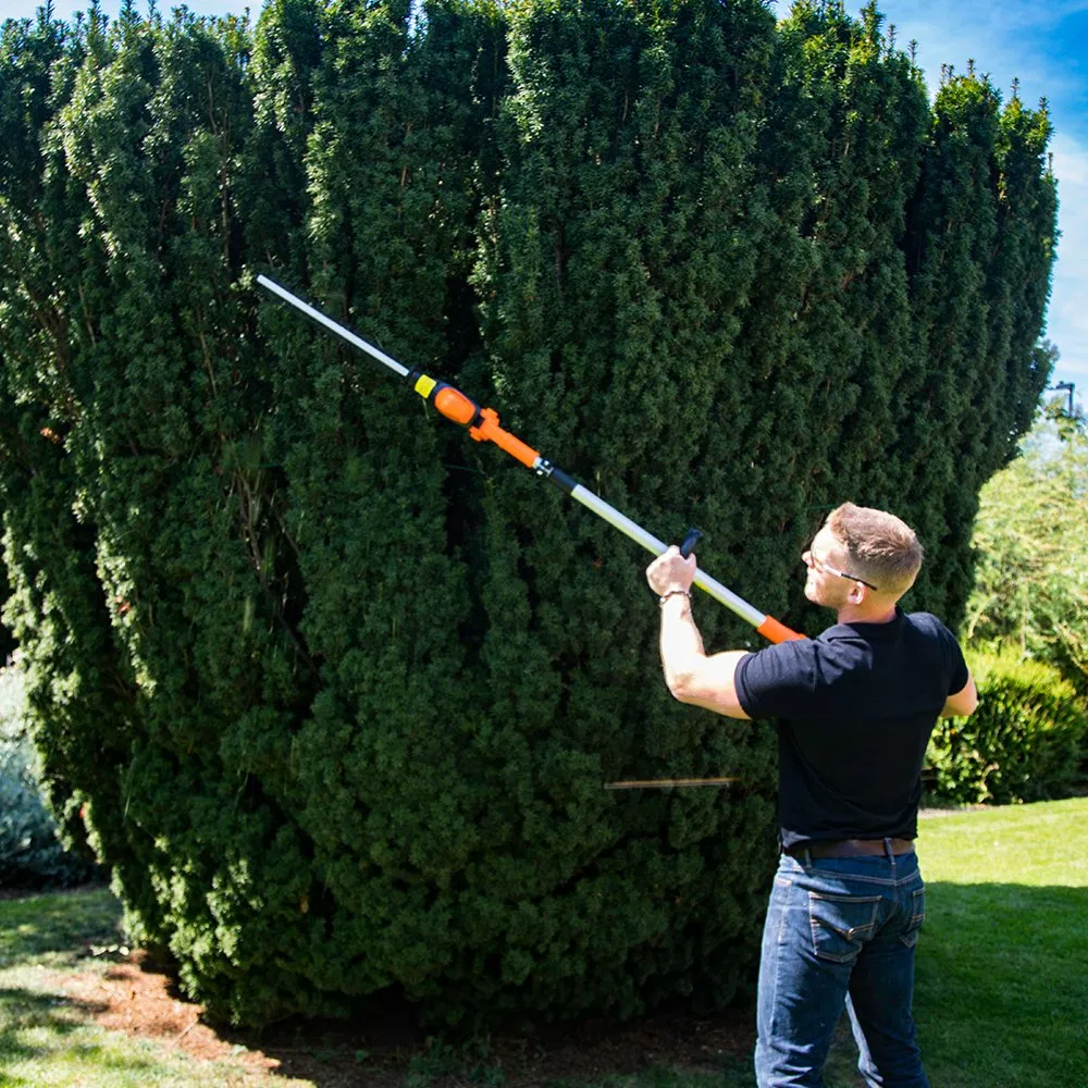 Dual Action Head Design Lithium-Ion Telescopic Hedge Cutter Trimmer-Lh C41A