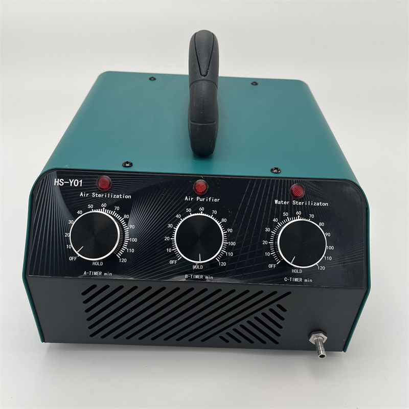 Home Treatment Air Purifier 10g Competent Manufacturer CE Portable Ozone Generator
