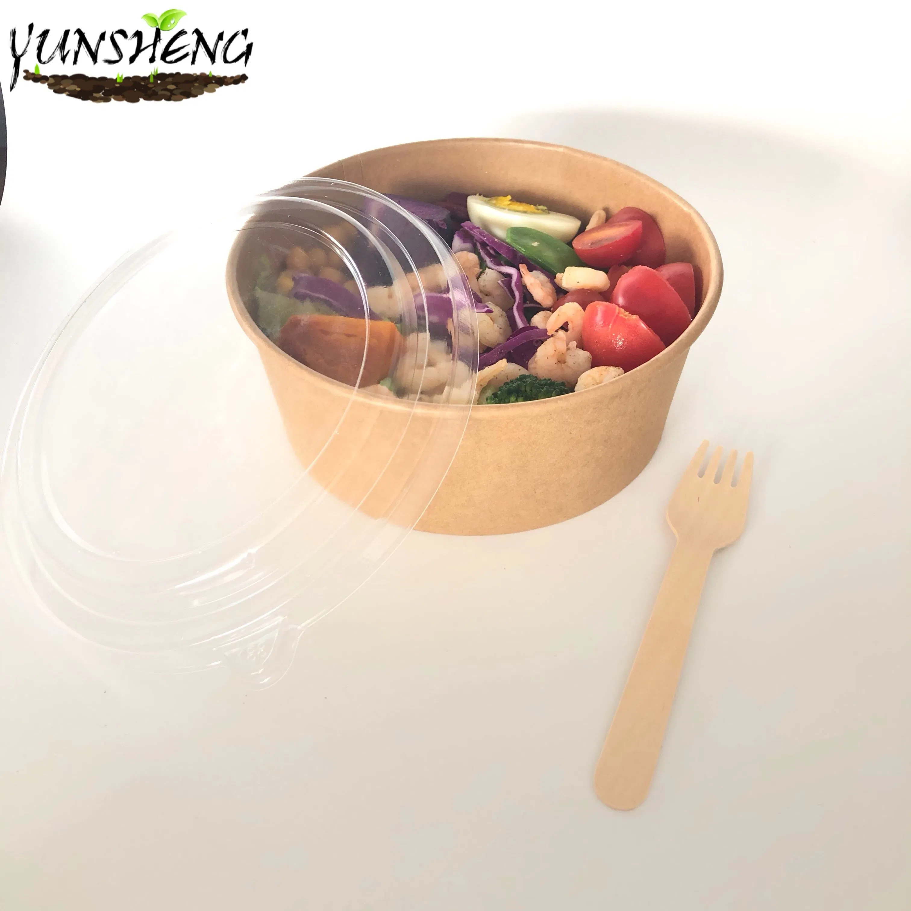 Disposable Food Containers Salad Bowls