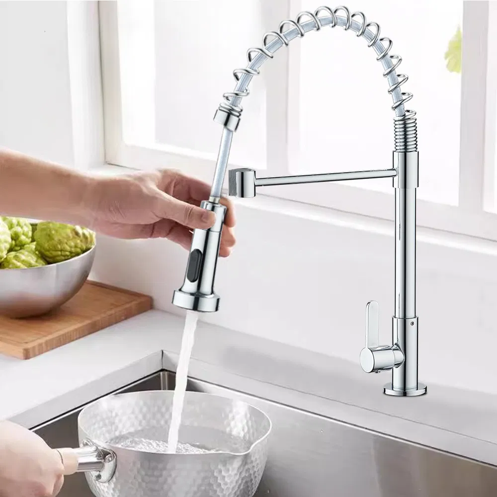 Gourmet Dual Function Kitchen Faucet Single Handle Chromed Stainless Steel Water Tap