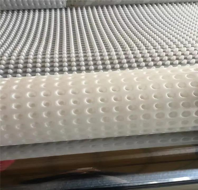 HDPE Drainage Board: Traditional Dimple Design for Maximum Waterproofing