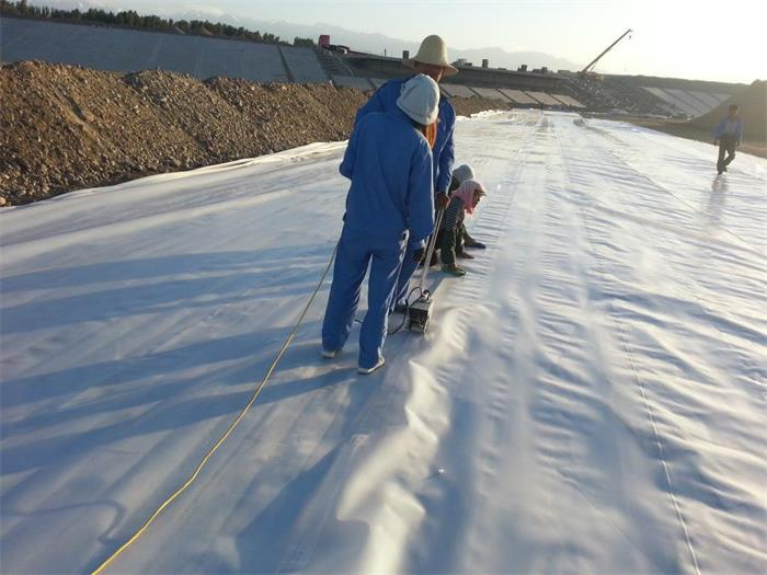 0.5mm 0.75mm 1mm HDPE Geomembrane Pond Liner for Fish Farming HDPE Liner