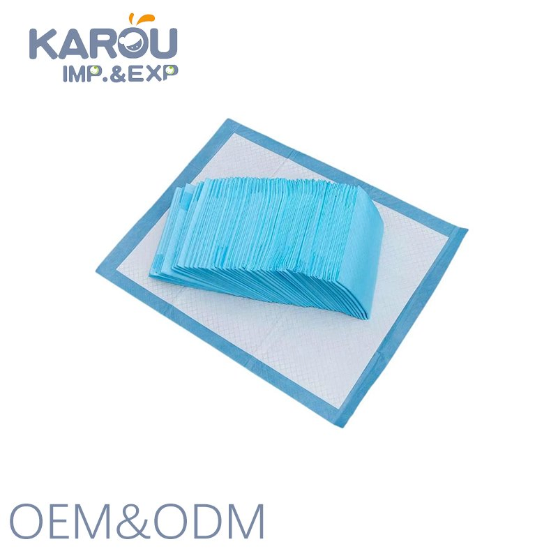 Dignity Sheet Incontinence Absorbent Pad Adult Care