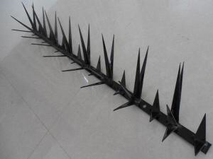Galvanized/PVC Coated Security Fence Razor Wall Spike for Anti Climb