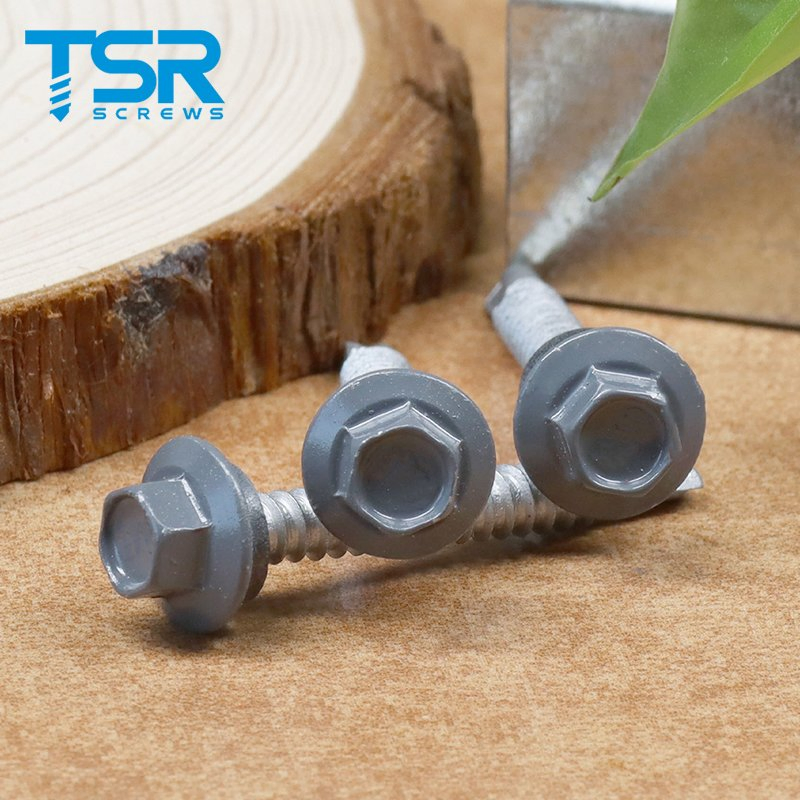 Korea Ruspert Coloured Painting Steel Sheet Drilling Point Screw For Siding Panel