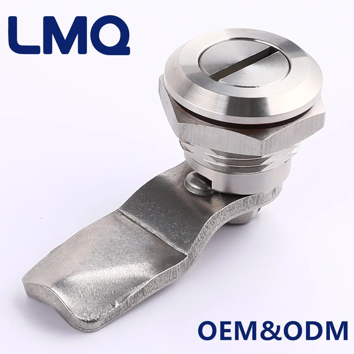 Manufacturers Wholesale Customize Different Sizes of High Quality Stainless Steel Cam