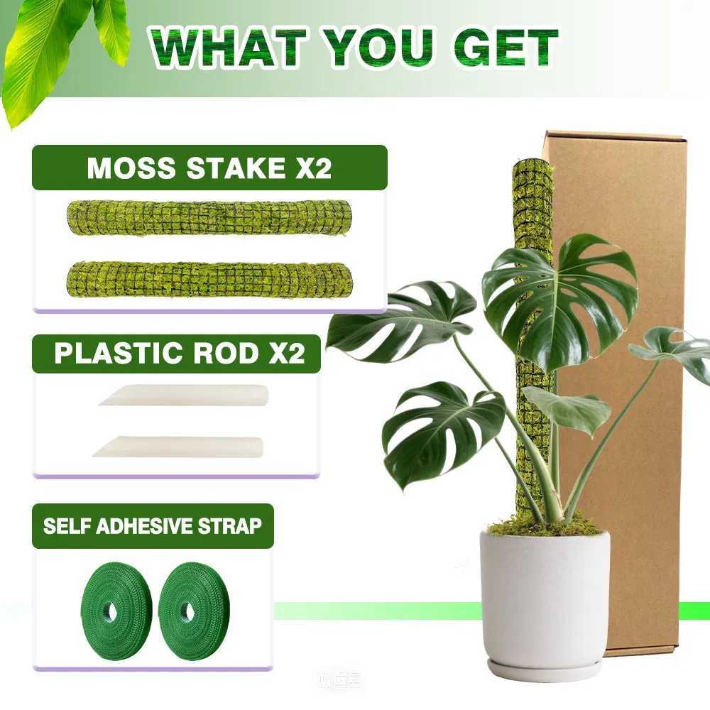 Aerial Root-Friendly Breathable Green Moss Plant Support Pole Moss Pole for Pothos Climbing Growth Philodendron Care