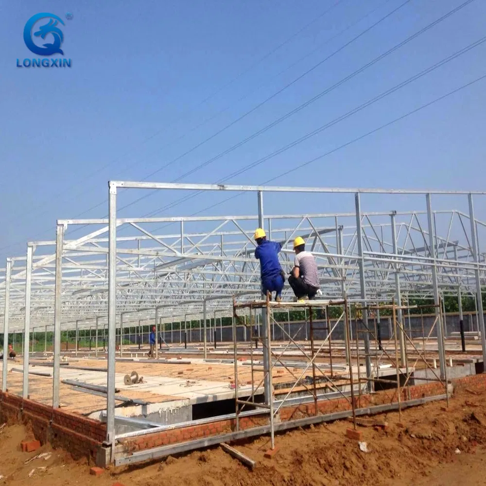 Easy Build Light Steel Steel Structure Prefabricated Pig Breeding Farm Livestock Building House