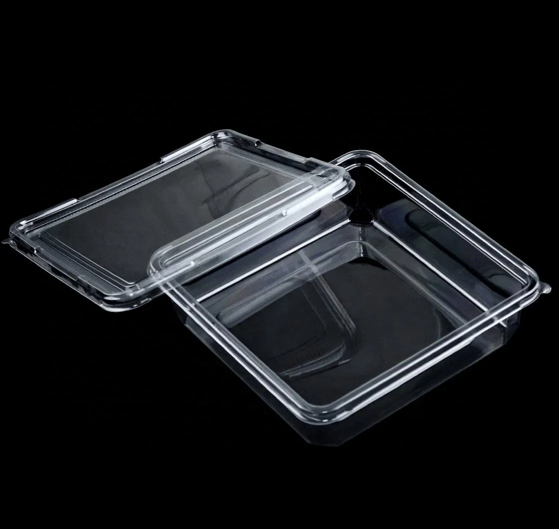 Custom Clear Pet Square Cake Box for Biscuits Dessert Cookies Packaging