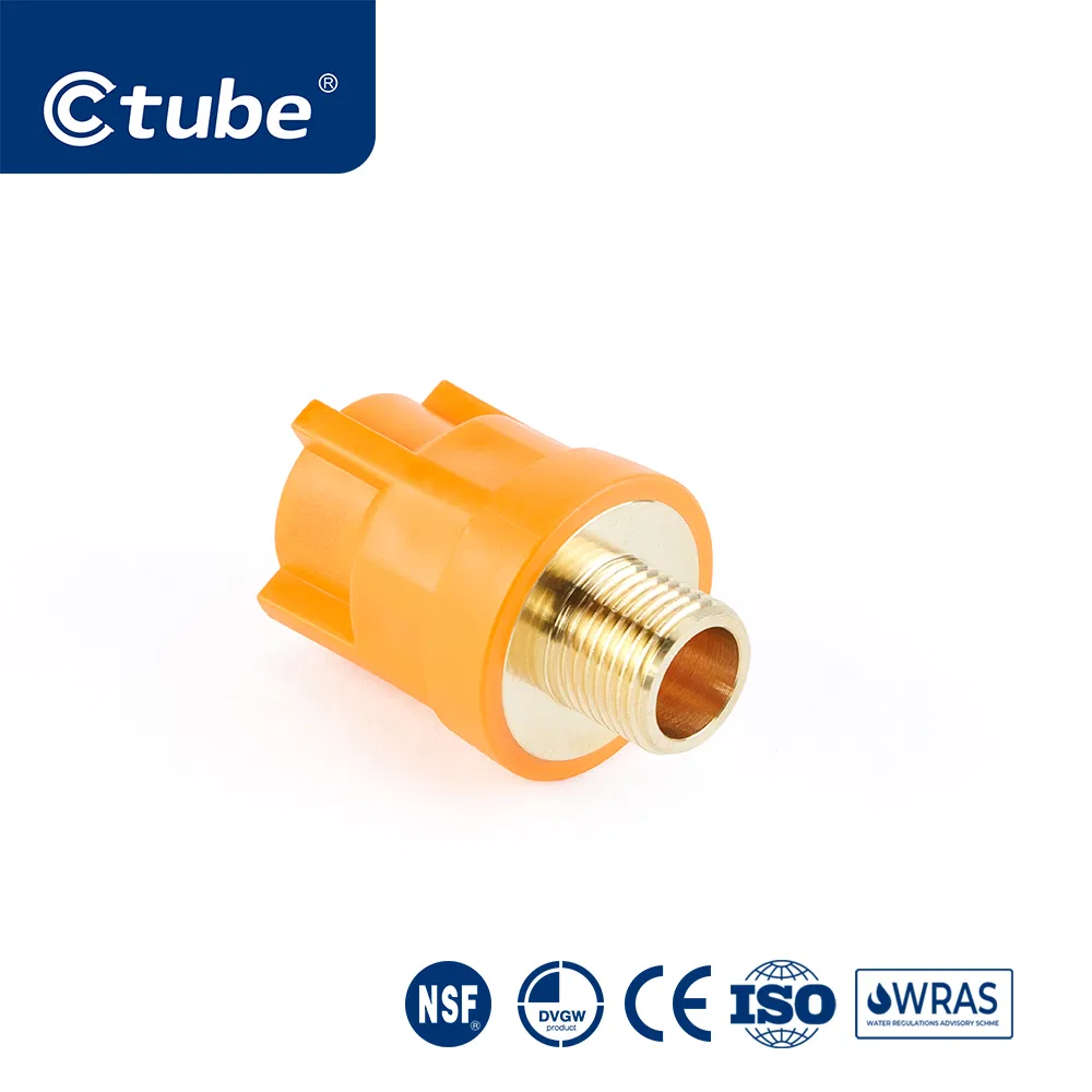 Ctube Durable PPR Male Reducer Couplings for Secure and Leak-Proof Transitions