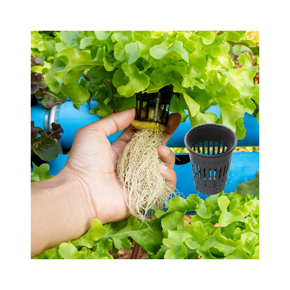 Горшок сетчатый для гидропоники черный пластик 2.5-10 см