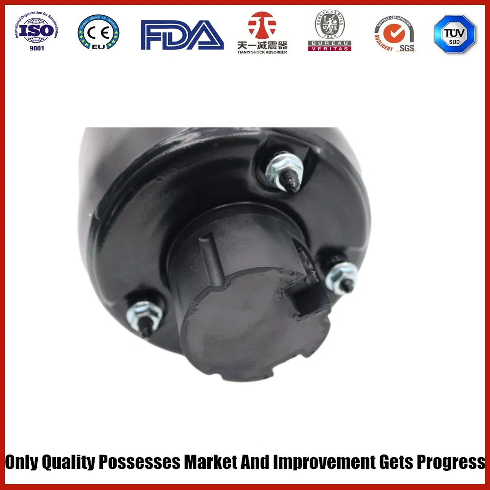 Передняя левая пневмоподвеска Mercedes-Benz E-Class (W211/S211)