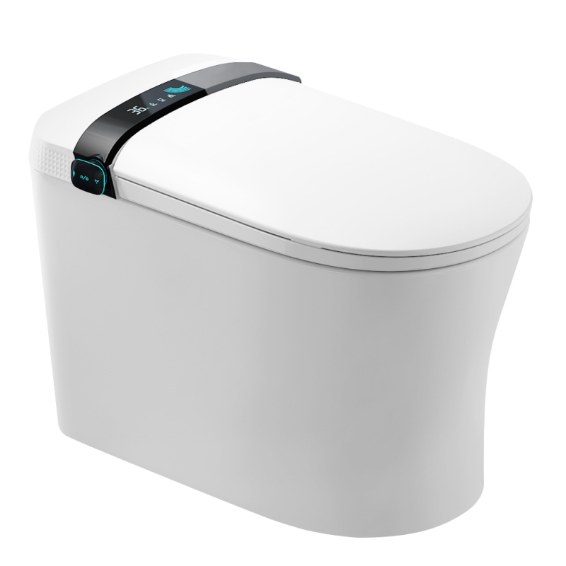 Minimalist Series Hot Selling Fashionable Ceramic Toilet Toilet