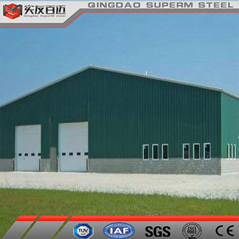 Cheap Price Prefabricated Industrial Steel Structure Warehouse Shed Building