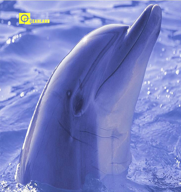 Керамическая плитка 3D для ванной Foshan