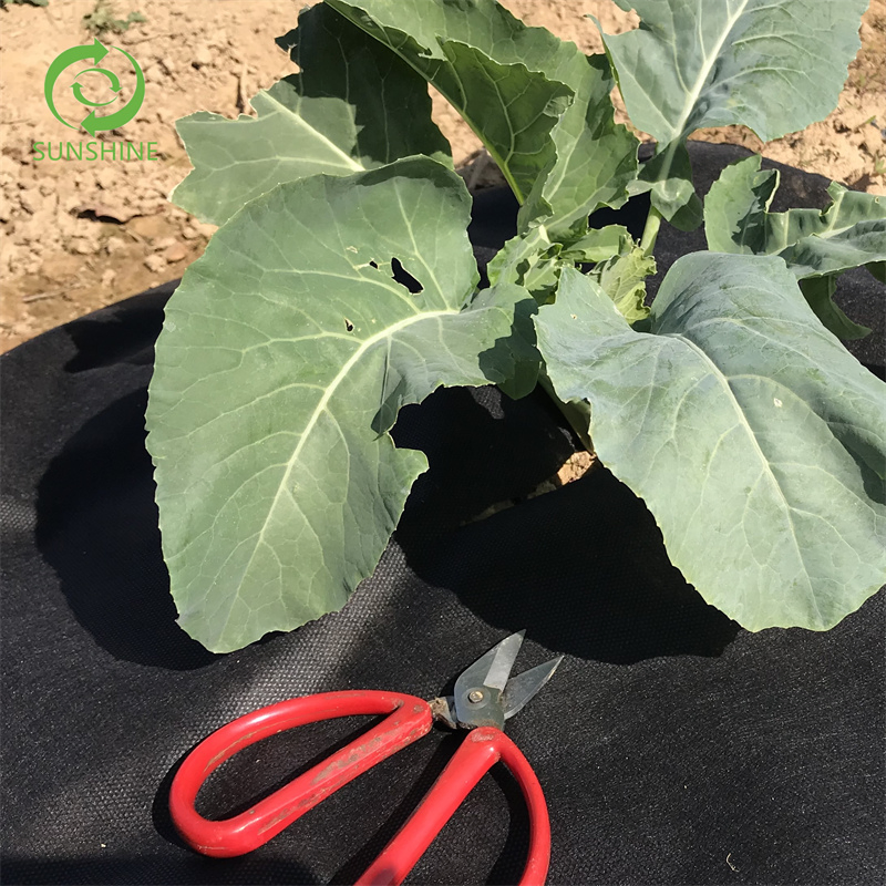 Polypropylene Nonwoven Geotextile 50GSM/100GSM/150GSM/Customized Nonwoven Fabric Roll Weed Barrier Landscape Fabric