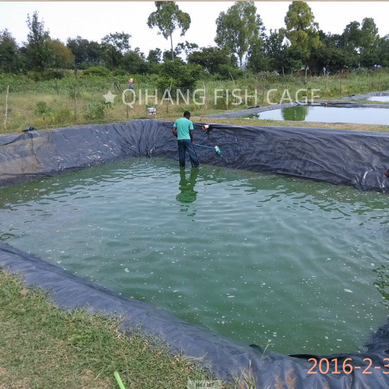 Premium HDPE Pond Liner for Effective Water Containment Solutions Geomembrane