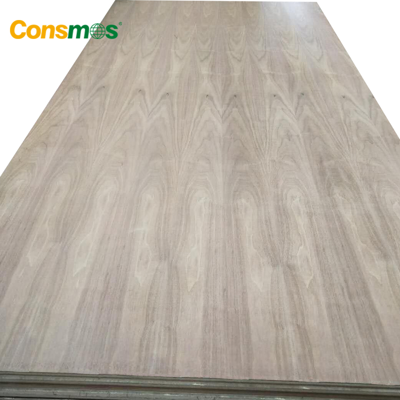 Wholesale Furniture Decoration Red Oak Black Walnut Parota Fancy Plywood