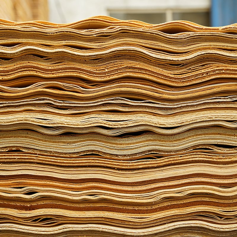 Waterproof Birch Wood Birch Veneered Plywood for Exporting