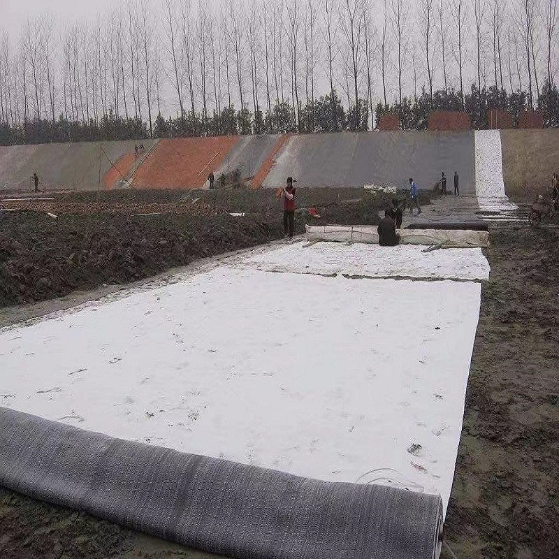 Premium Quality Geosynthetic Clay Liner for Construction Material Drainage and Filtration