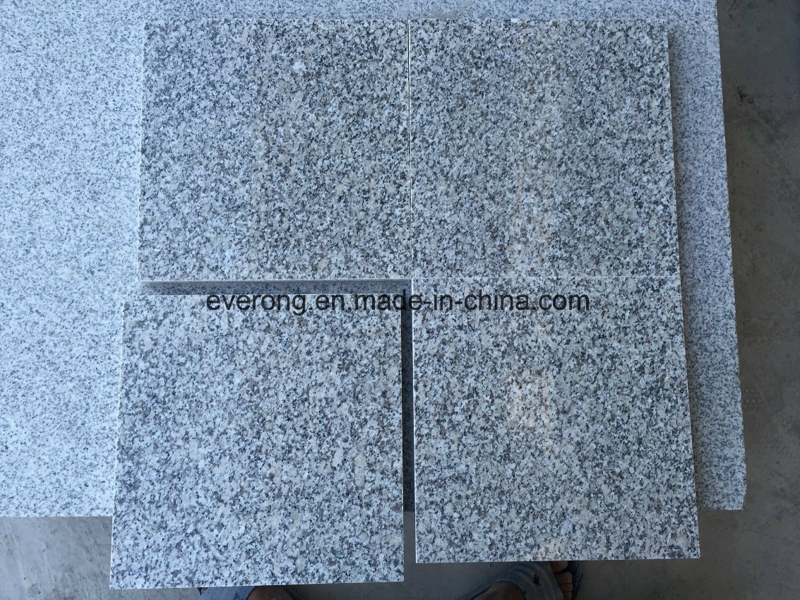 Chinese Cheap New Grey Granite China Rosa Porrino Tile for Paving Stone