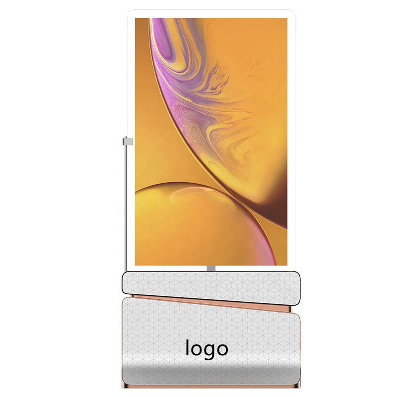 Double Sided Transparent Screen Advertising Video Display Player Signage OLED Digital Signage