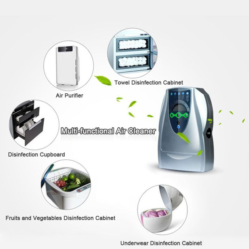 Factory Price Ozone Generator with 500mg Output for Washing Vegetable and Meat