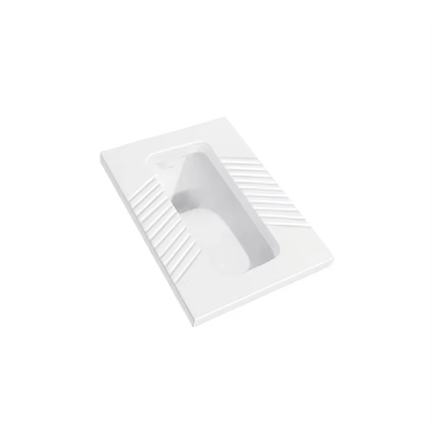 Ergonomic Stylish Squatting Pan with Integrated Toilet Tank Design