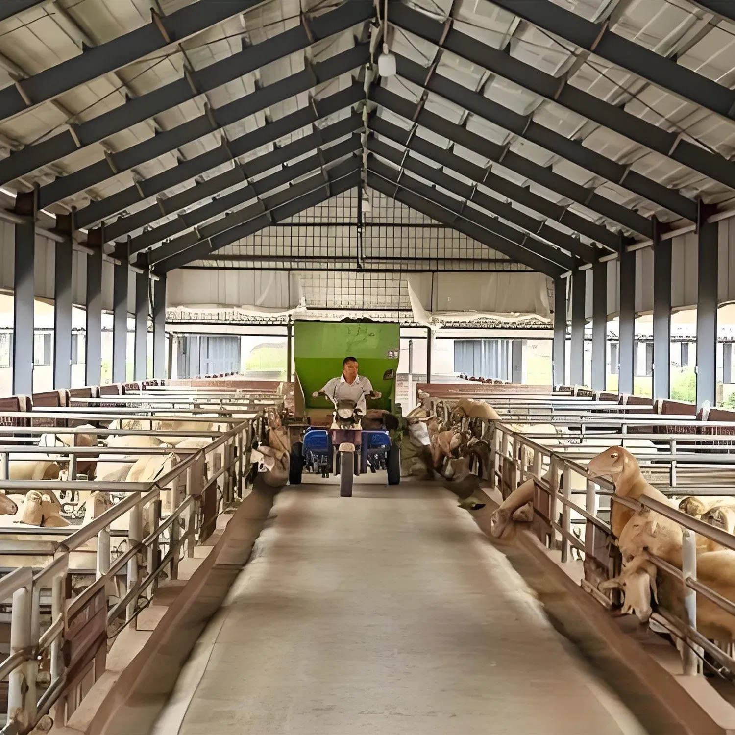 Customized Prefabricated Steel Shed Is Well Ventilated and Adaptable to Various Climates