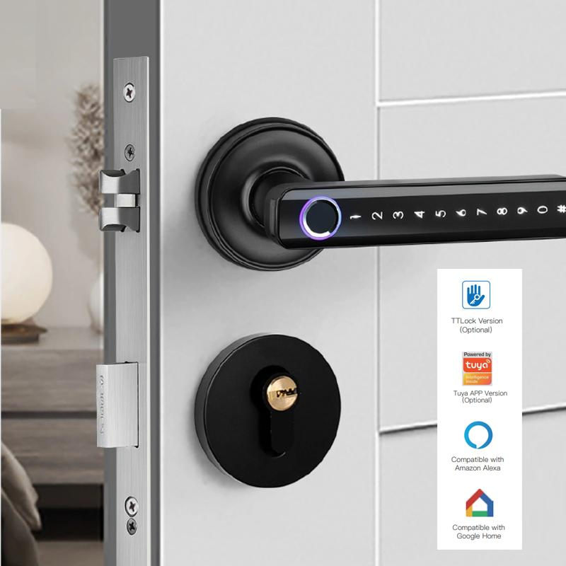 Smart Fingerprint Door Lock, Keyless Entry Door Lock with Handle