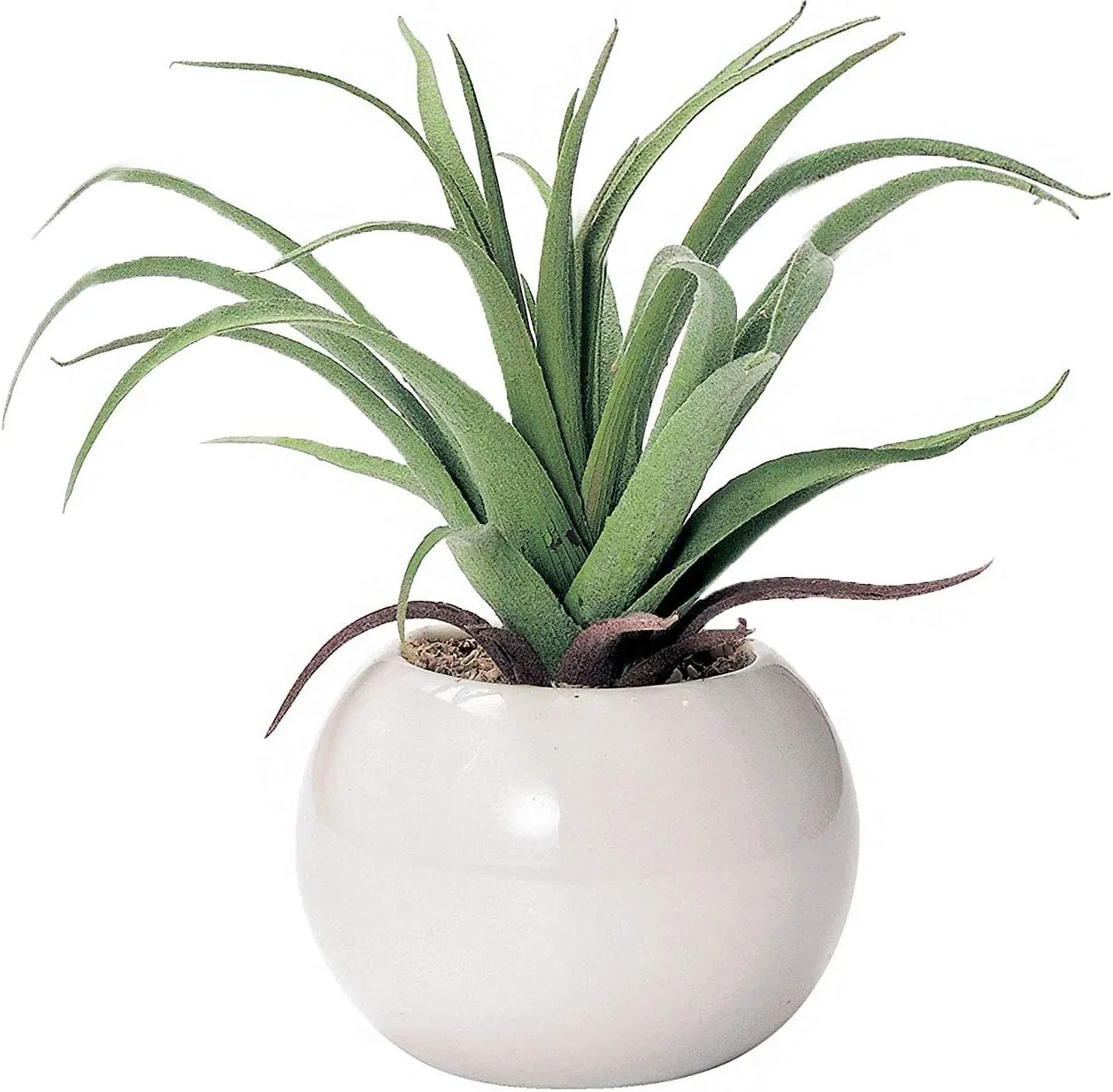 New Design Mini Ceramic Flower Pot for Home Decoration