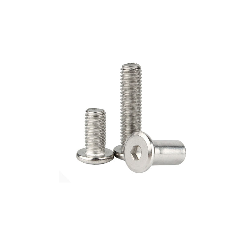 Daxin Premium 304 Stainless Steel Pan Head and Hexagon Socket Screws