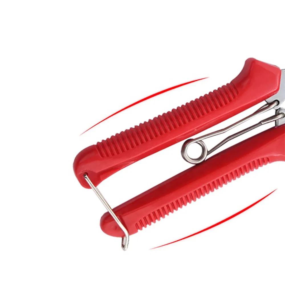 Stainless Steel Pruning Shears Extra Long Edge Fruit Tree Bonsai Garden Sharp Scissors Wyz21618