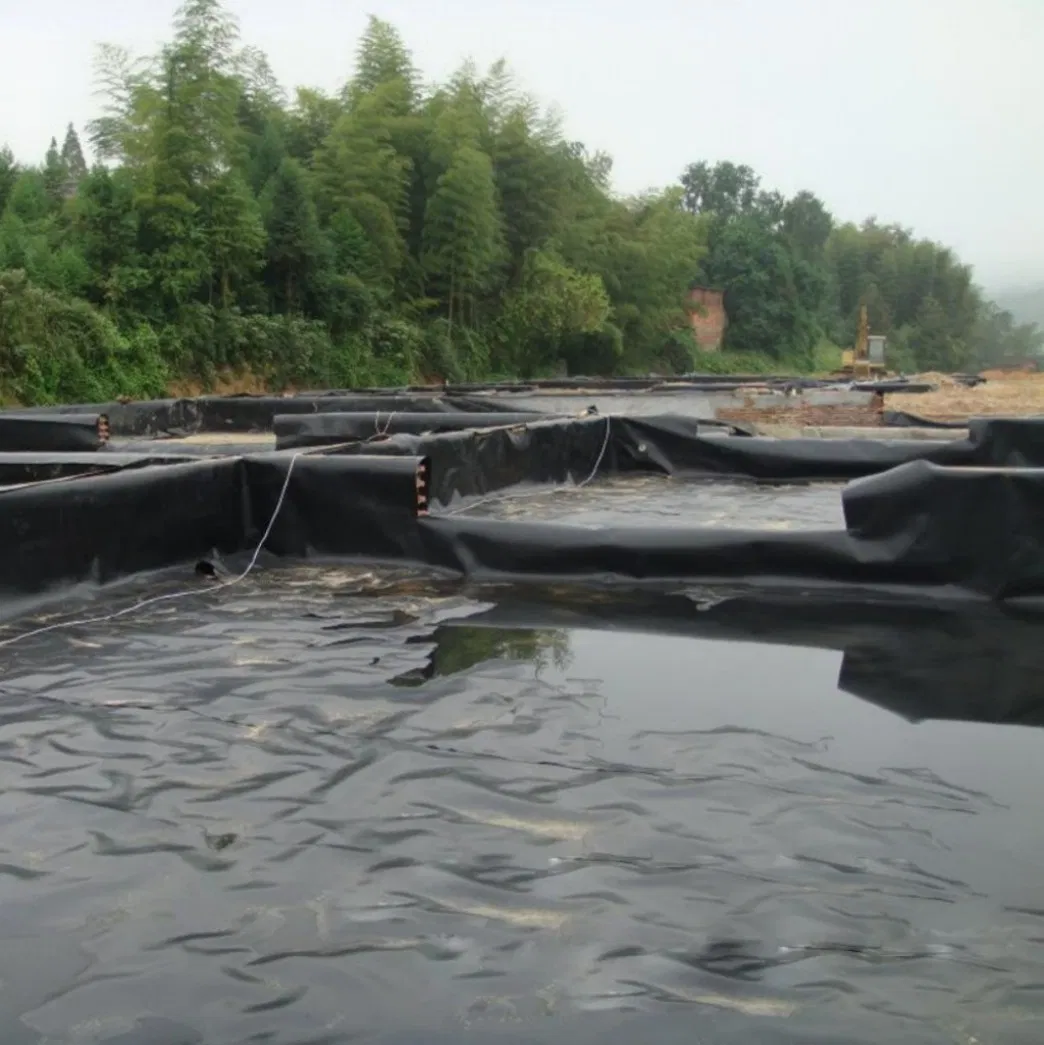 High Quality HDPE Pond Liner China HDPE Pond Liner Geomembrane