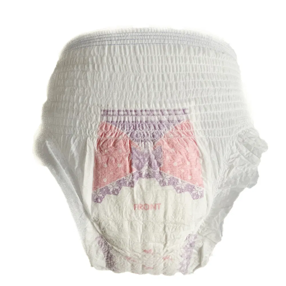 Wearing Panties with Sanitary Napkin Disposable Ladies Pants