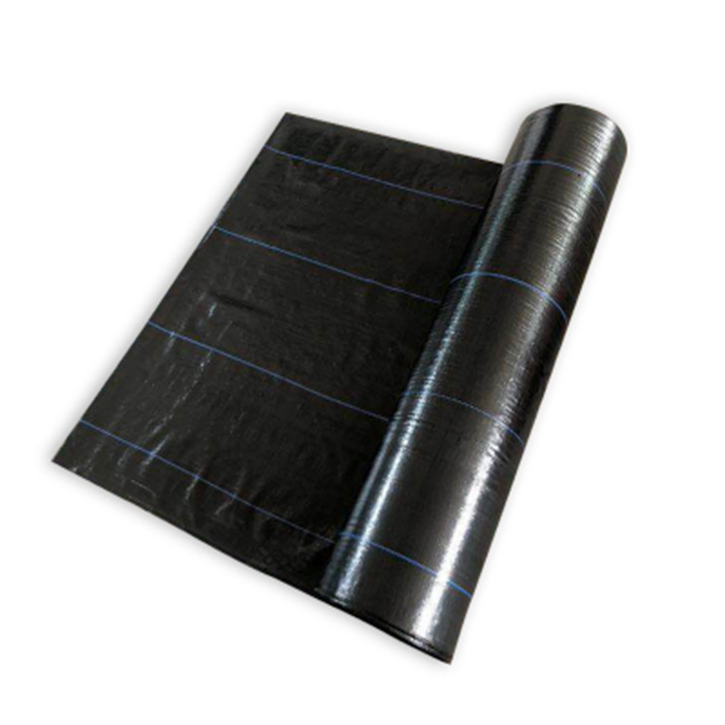 PP Material Ground Cover for Agriculture