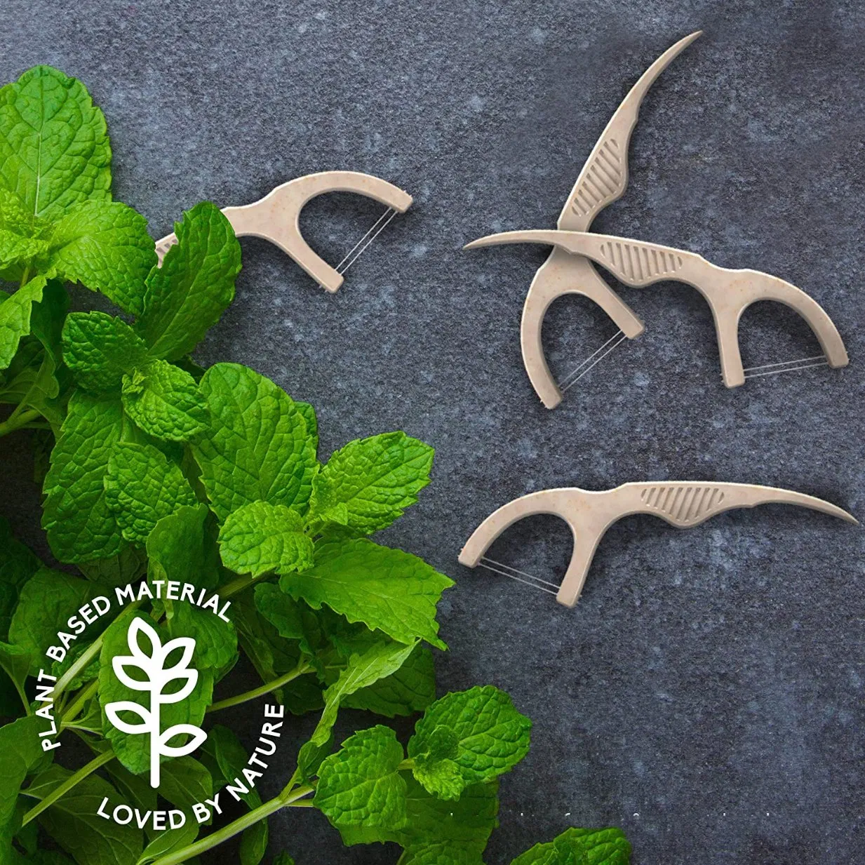 Eco Friendly Wheat Straw Floss Toothpick/ 2 in 1 Dental Floss Pick