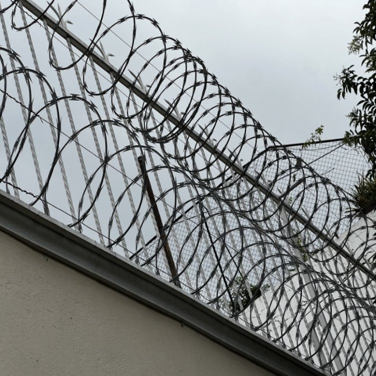 Hot Dipped Galvanized Double Strand Razor Barbed Wire Prison Fence Netting