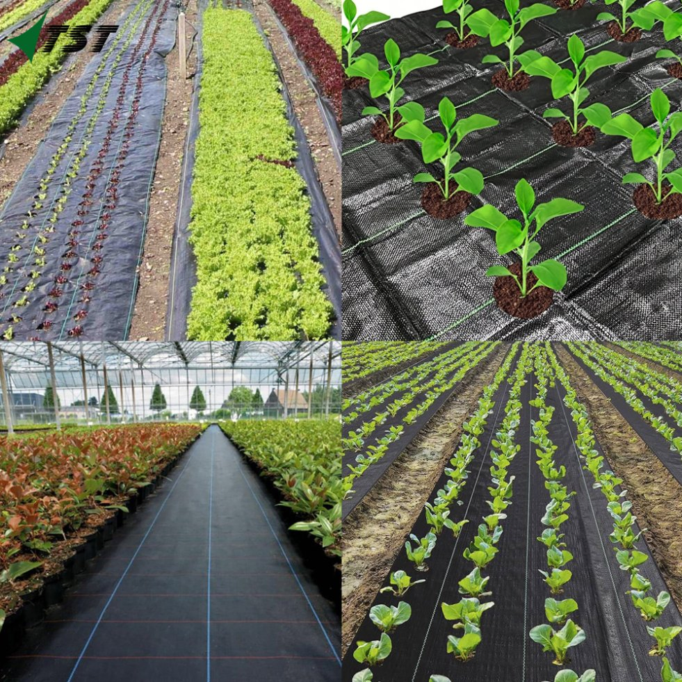 Ground Cover O Malla Antimaleza Negro 2 M Ancho X 50 M Largo