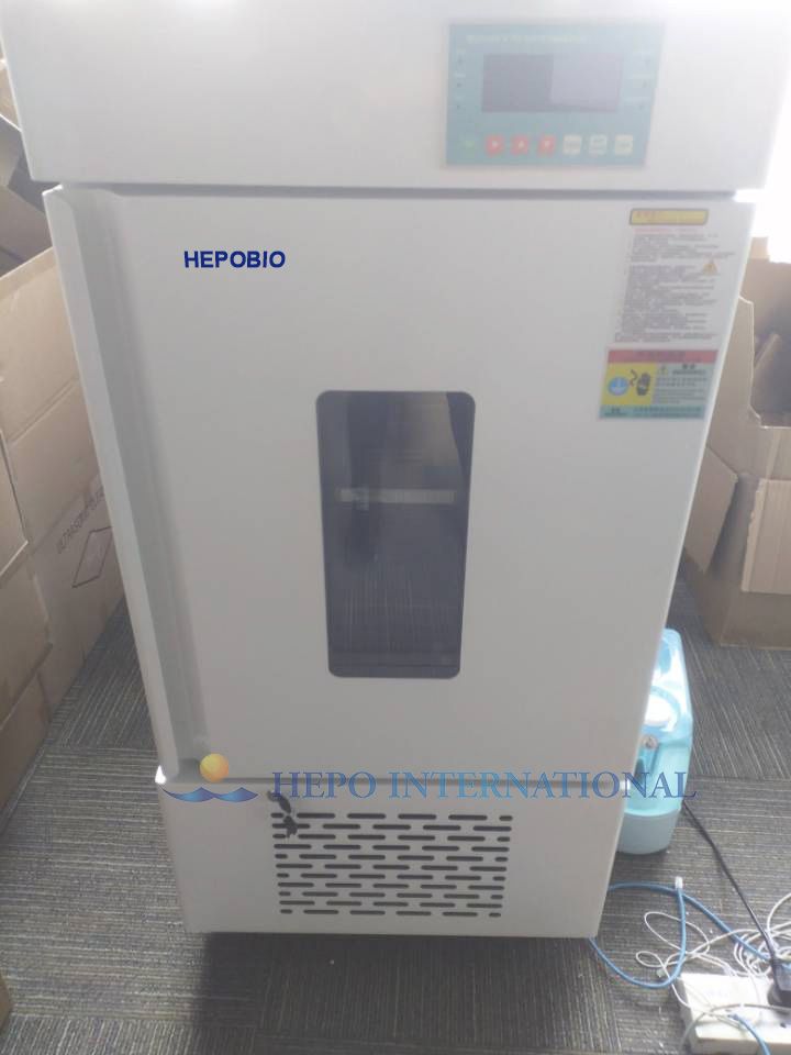 Ce Certificated Large Capacity Portable Car Freezer Car Refrigerator